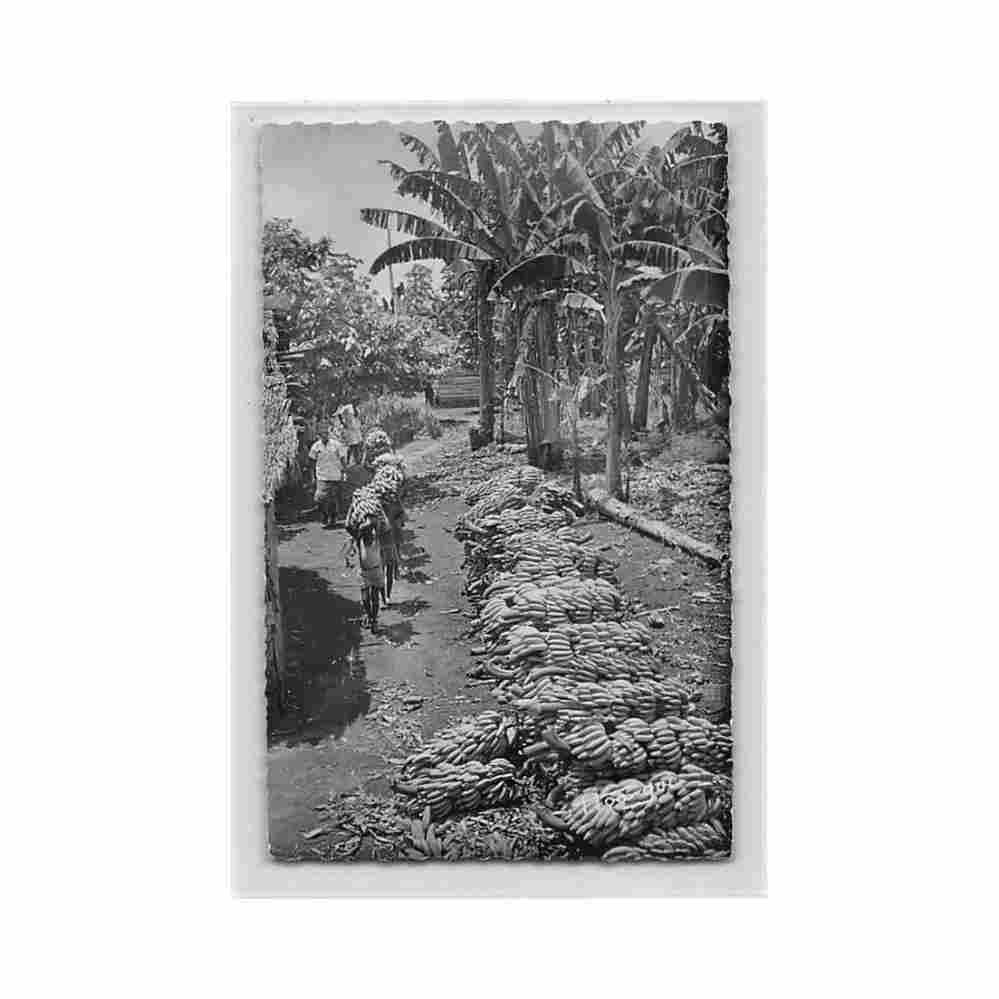cameroun la recolte des bananes ed r guerpillon 36 Vintage A4 Photo Print