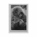 cameroun portrait d un petit gorille ed m audry Vintage A4 Photo Print