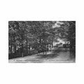 canada montreal dans la foret du mont royal ed neurdein nd phot 111 Vintage A4 Photo Print