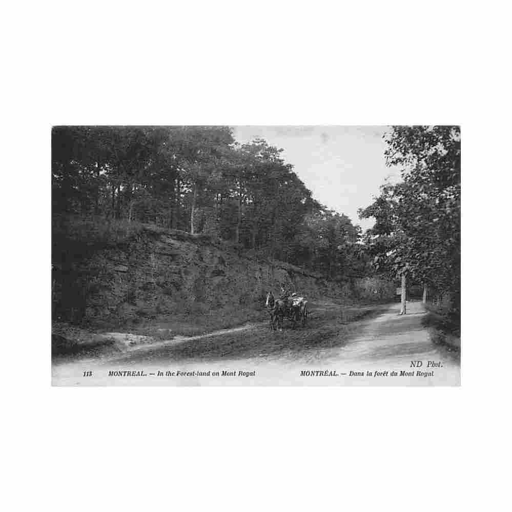 canada montreal dans la foret du mont royal ed neurdein nd phot 113 Vintage A4 Photo Print