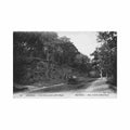 canada montreal pq dans le foret du mont royal ed neurdein nd phot 113 Vintage A4 Photo Print
