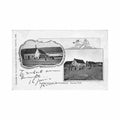 canada newfoundland drying codfish staple industry year 1904 nfl pictorial post card co Vintage A4 Photo Print