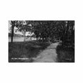 canada winnipeg mb city park Vintage A4 Photo Print