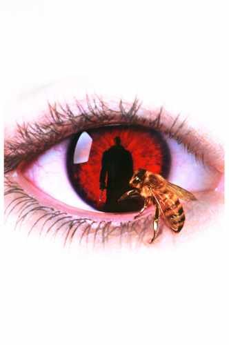 candyman 1  02 film star poster A4 Photo Print