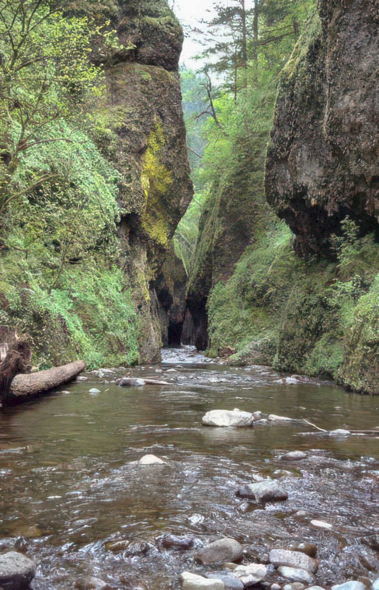 cannon creek landscape Vintage A4 Photo Print