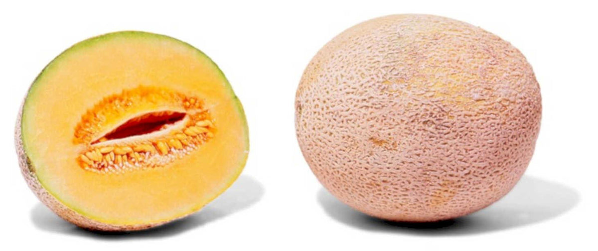 cantaloupe slice whole1980s 1990s A4 Photo Print