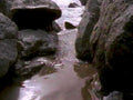 canyon creek waterway1980s 1990s A4 Photo Print