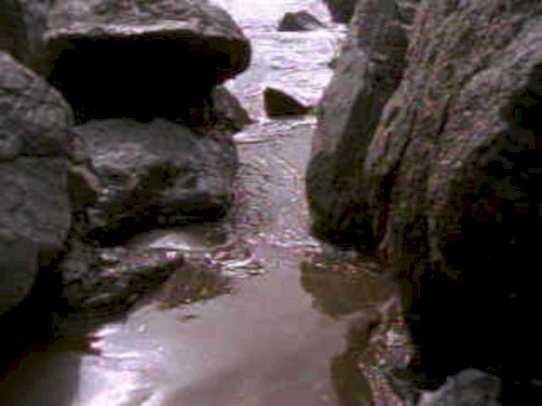 canyon creek waterway1980s 1990s A4 Photo Print
