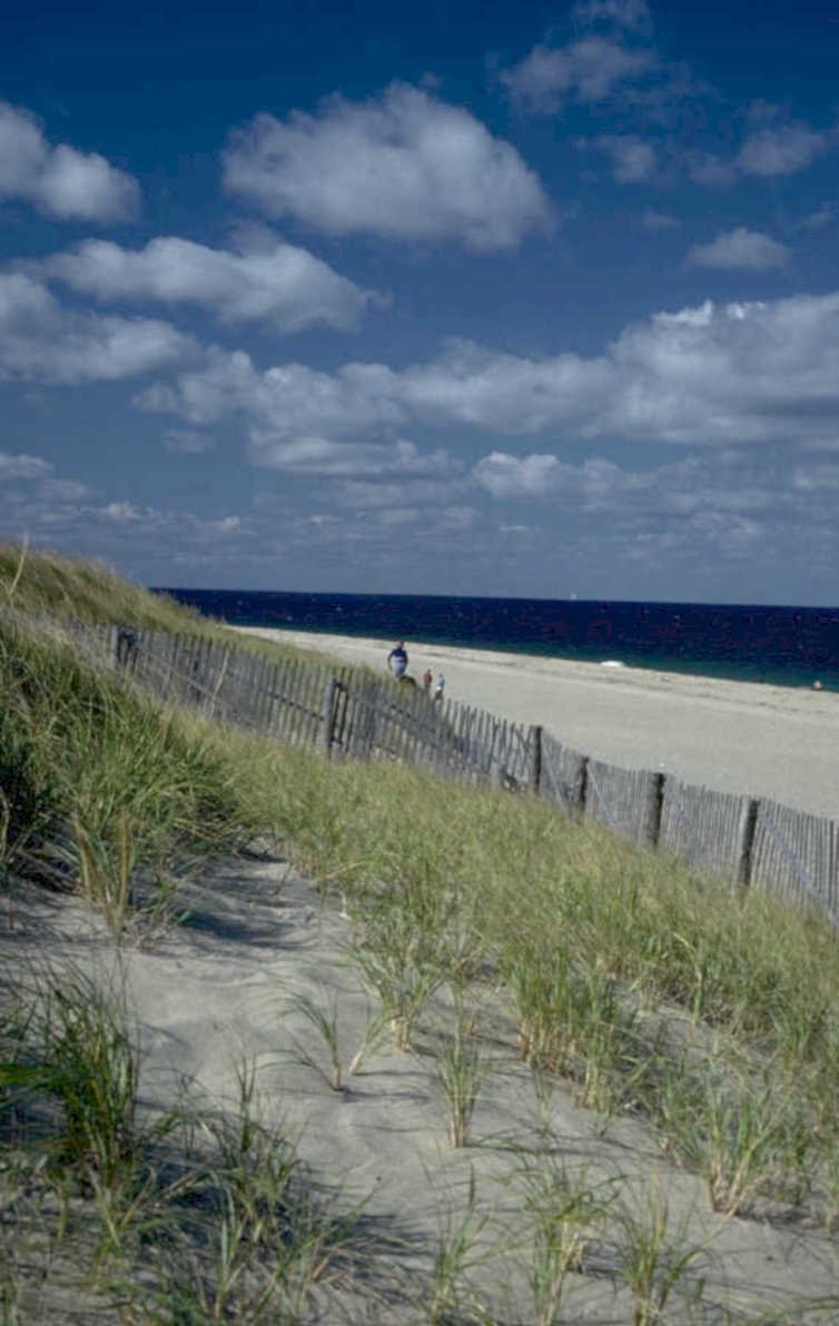 cape cod beach 1980s 1990s A4 Photo Print