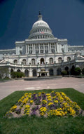 capitol building dc 1 1980s 1990s A4 Photo Print