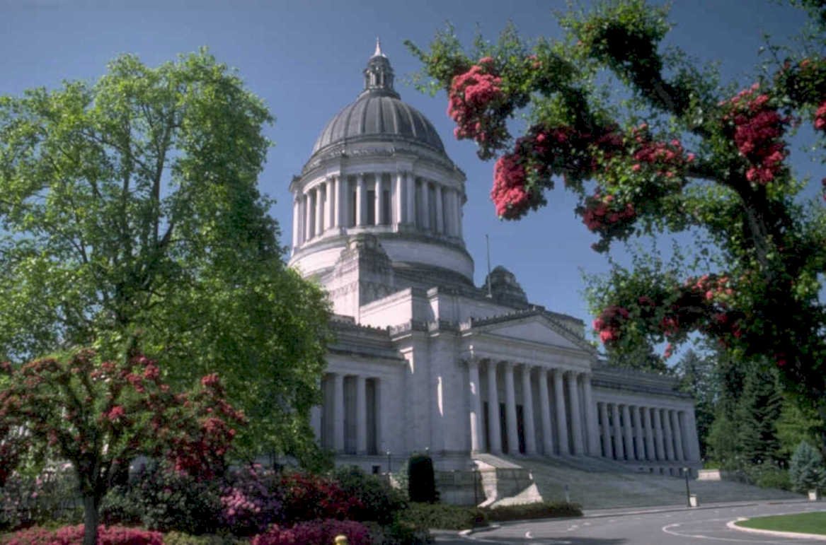 capitol dome trees 1980s 1990s A4 Photo Print