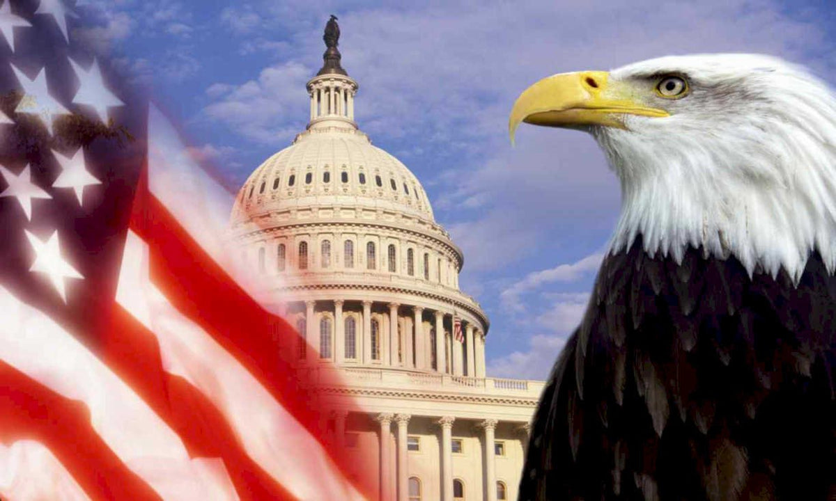 capitol eagle symbols Flags1980s A4 Photo Print