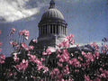 capitol flowers sky1980s 1990s A4 Photo Print