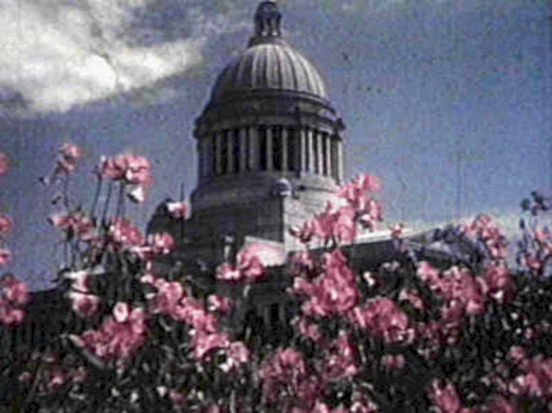 capitol flowers sky1980s 1990s A4 Photo Print