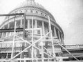 capitol scaffolding bird1980s 1990s A4 Photo Print