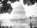 capitol trees cars1980s 1990s A4 Photo Print
