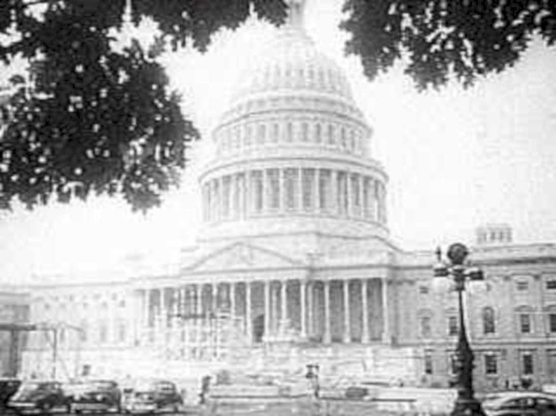 capitol trees cars1980s 1990s A4 Photo Print