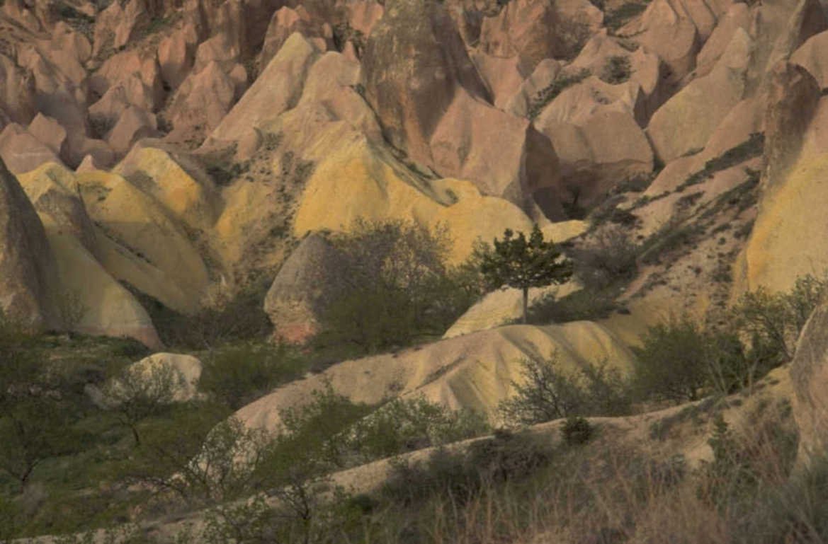 cappadocia rock tree 1980s 1990s A4 Photo Print
