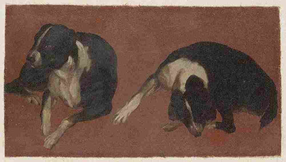 carlevarijs luca two studies of a dog Art A4 Photo Print