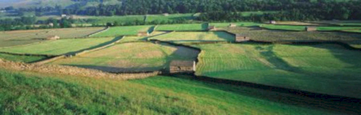 carpathian fields landscape UK GB British A4 Photo Print