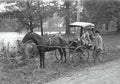 carriage horse river Vintage world war A4 Photo Print
