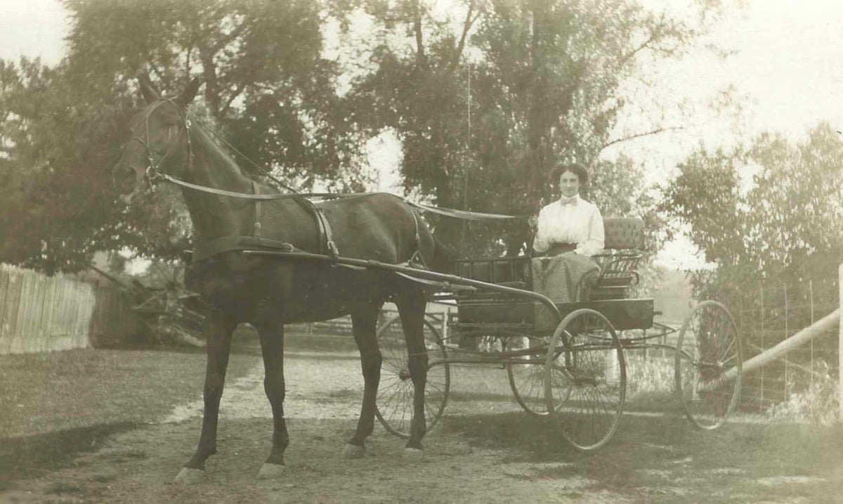 carriage horse woman Vintage world war A4 Photo Print
