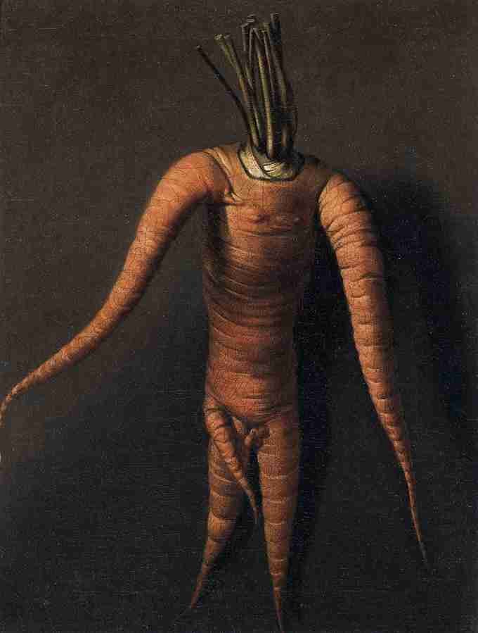 carrot Art A4 Photo Print