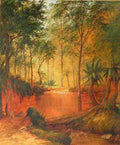 carse waterfall sydney Art A4 Photo Print