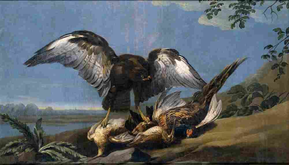 castillo jose kite with a group of dead birds Art A4 Photo Print