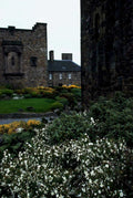 castle craigpholt scotland1980s 1990s A4 Photo Print