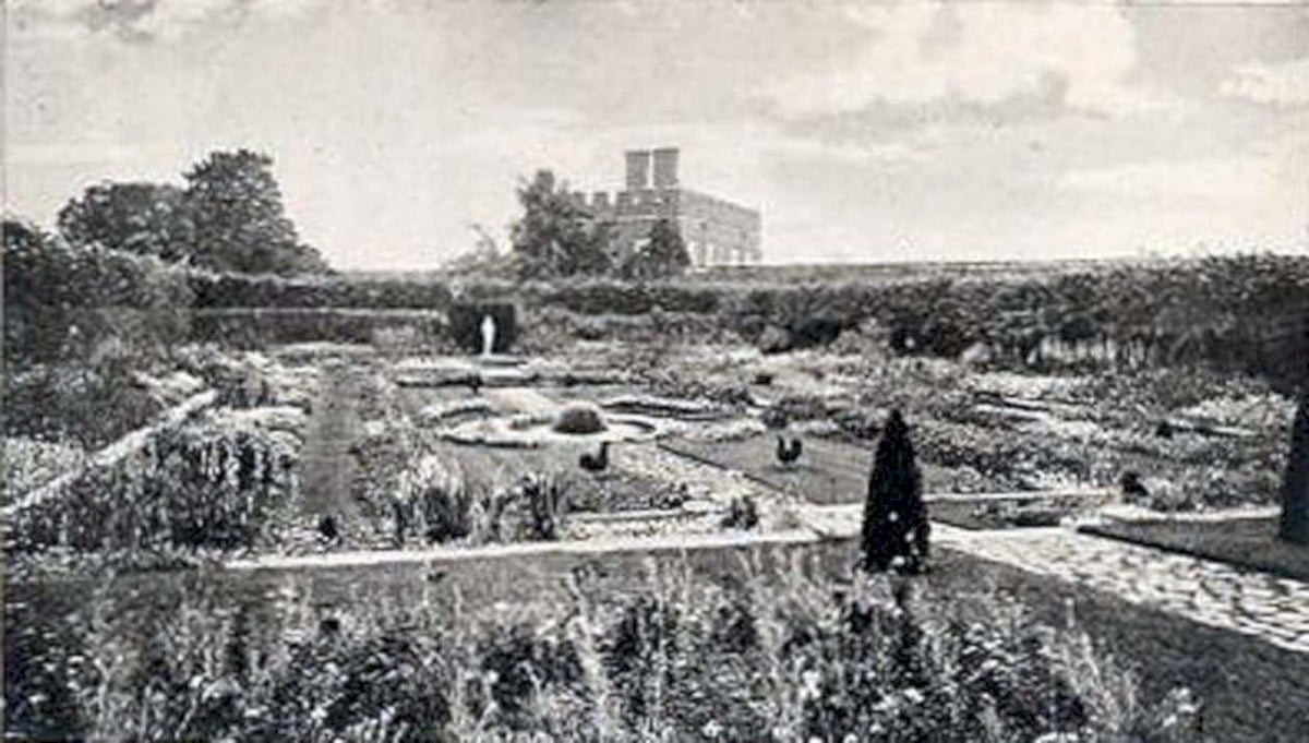 castle gardens blickhamptonVintage 1880s 1900s A4 Photo Print