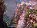 castro mexican railway Art A4 Photo Print