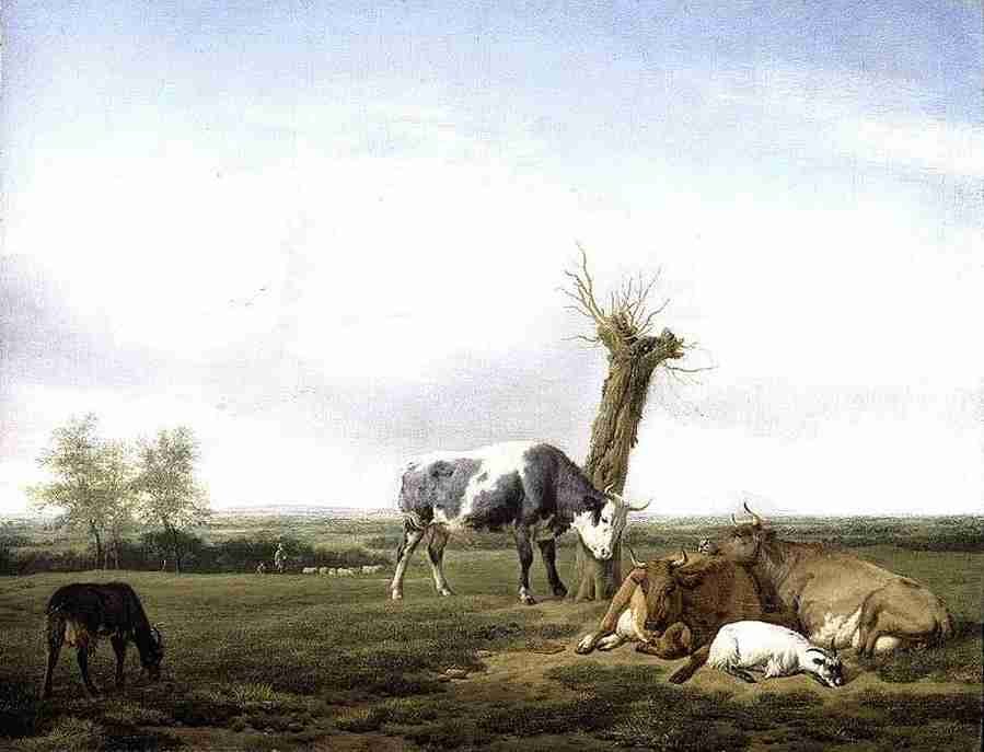 cattle Art A4 Photo Print UK
