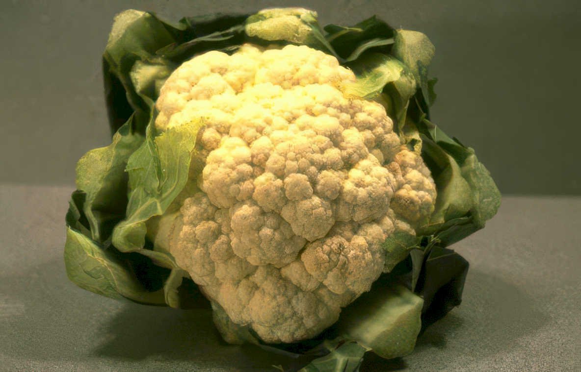 cauliflower white leaves Vintage A4 Photo Print