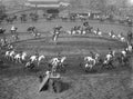 cavalry polo match Vintage world war A4 Photo Print