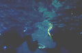 cave diver bucket Vintage A4 Photo Print