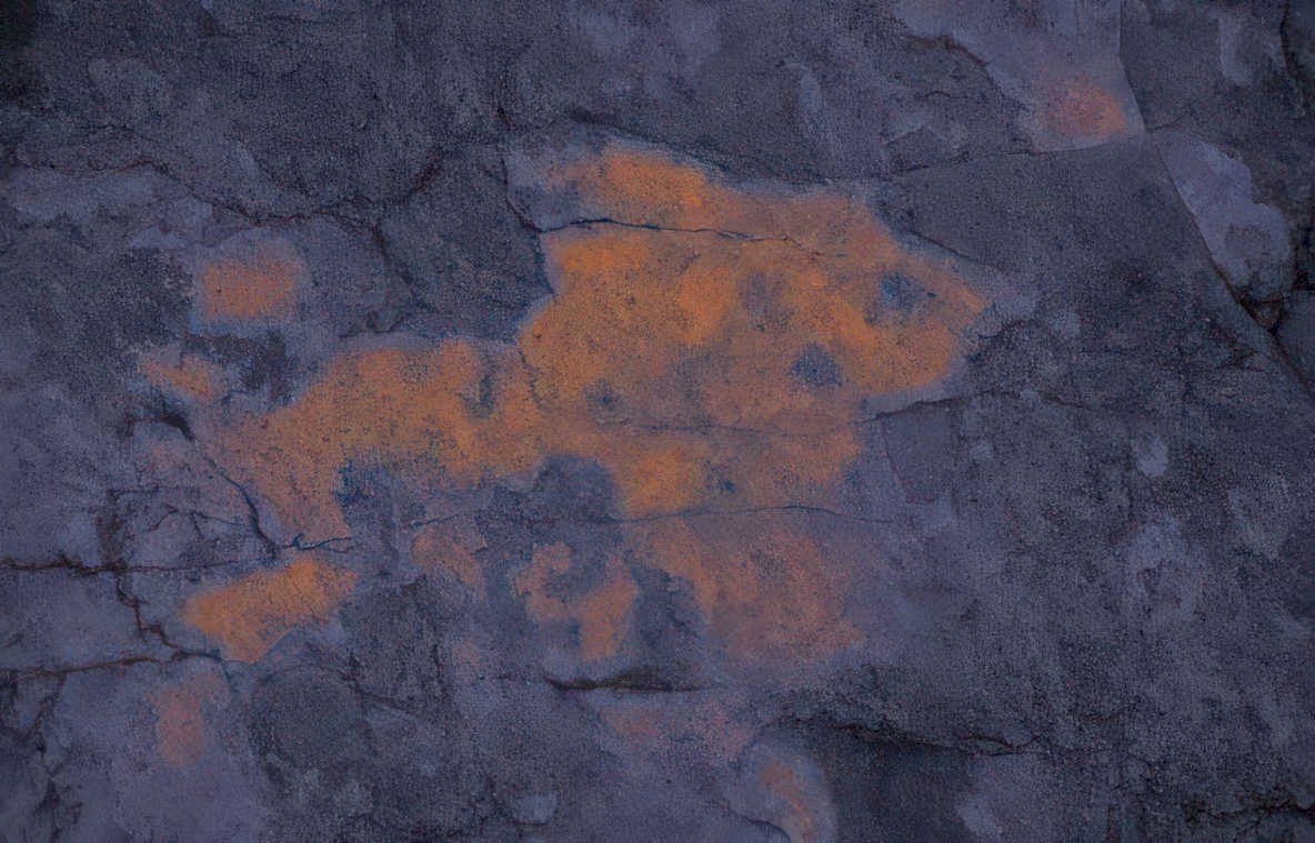 cave fish painting Vintage A4 Photo Print