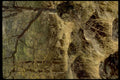 cave formation mckittrick1980s 1990s A4 Photo Print