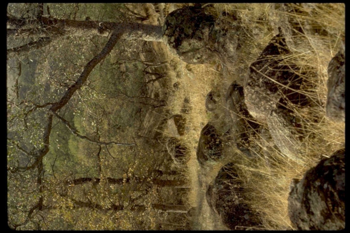 cave formation mckittrick1980s 1990s A4 Photo Print