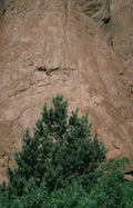 cave petroglyphs garden Vintage A4 Photo Print