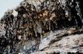 cave stalactites stalagmites1980s 1990s A4 Photo Print