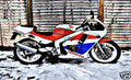 cbr250 motorbike A4 Photo Print
