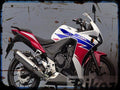 cbr400r Honda A4 Photo Print Motorbike Vintage Aged