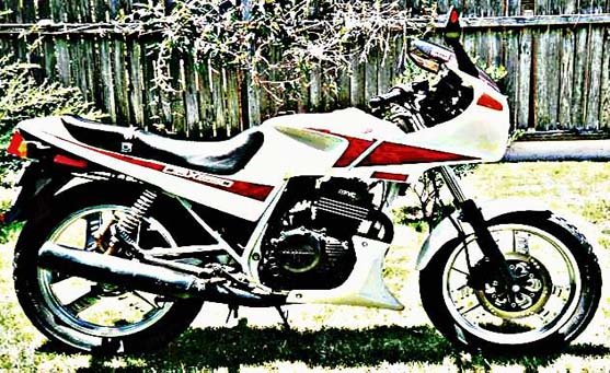 cbx250 motorbike A4 Photo Print