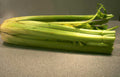 celery stalks kitchen Vintage A4 Photo Print