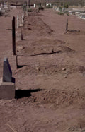 cemetery graves fencing Vintage A4 Photo Print