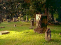 cemetery gravestones evening1980s 1990s A4 Photo Print