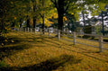 cemetery landscape autumn 1980s 1990s A4 Photo Print