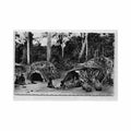 centrafrique cases de pygmees ed hoa qui 3801 Vintage A4 Photo Print