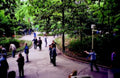 central park 20031980s 1990s A4 Photo Print